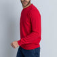 Men Regular Fit Pullover - Red
