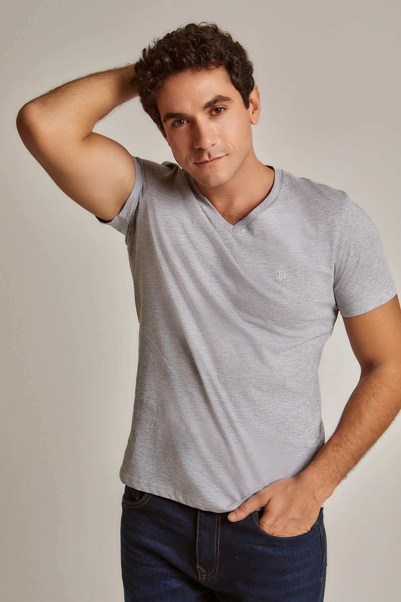 Men Regular Fit T-shirt - Grey