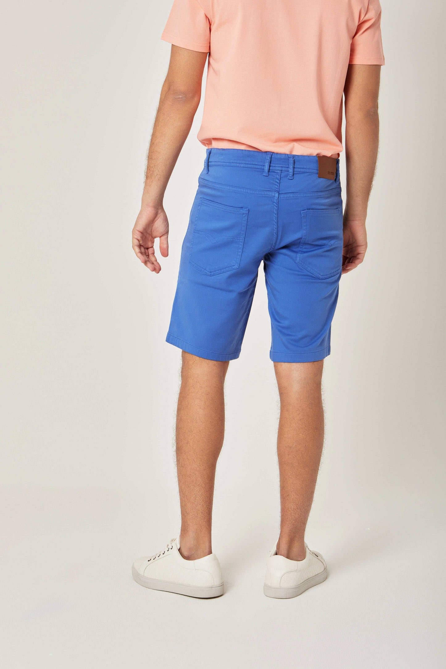 Men Regular Fit Bermuda - Printed Multicolorcolor
