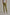 Women Regular Fit Pant - Green