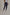 Women Regular Fit Sweat Pant - Navy