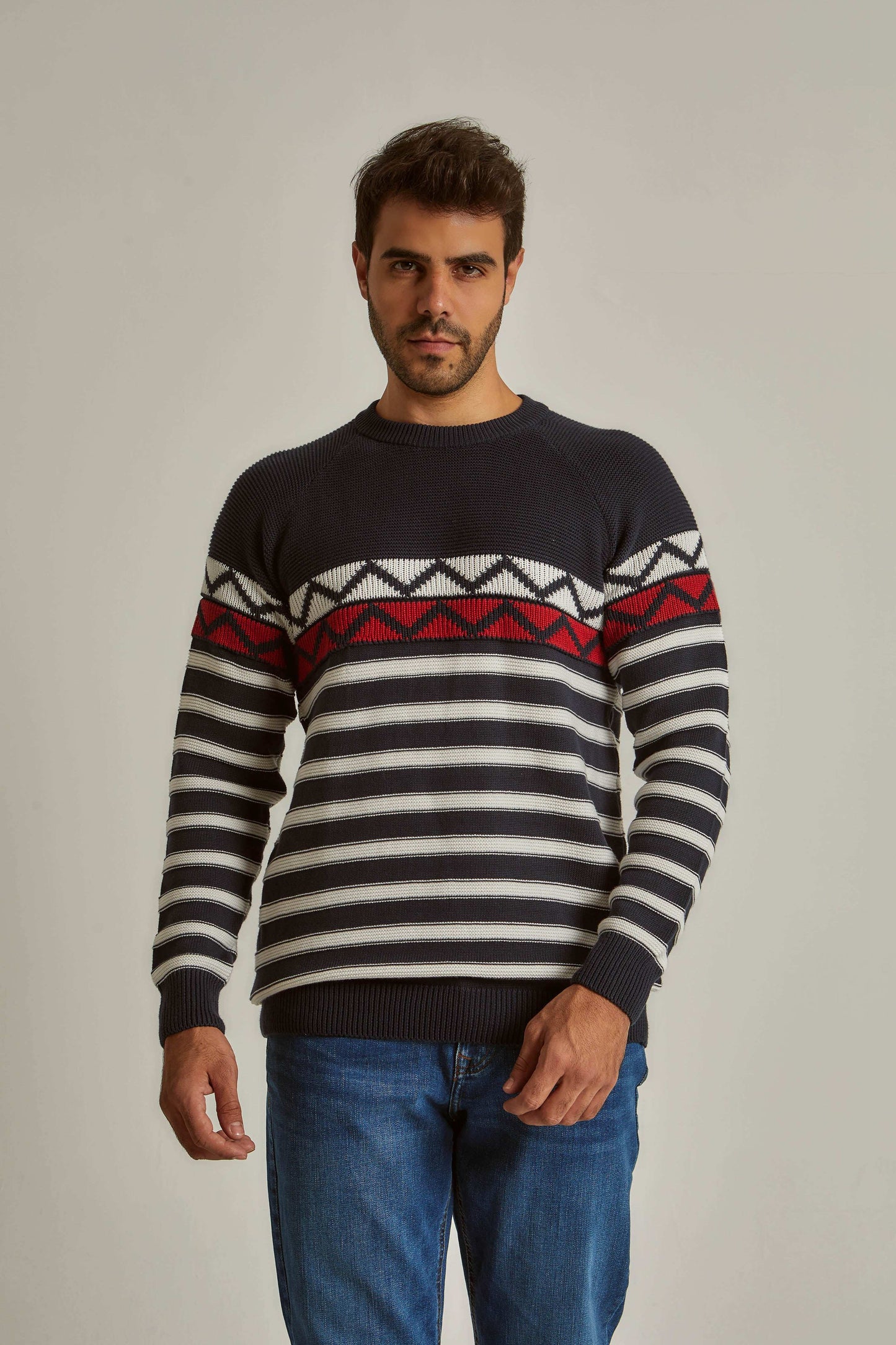 Men Regular Fit Pullover - Navy