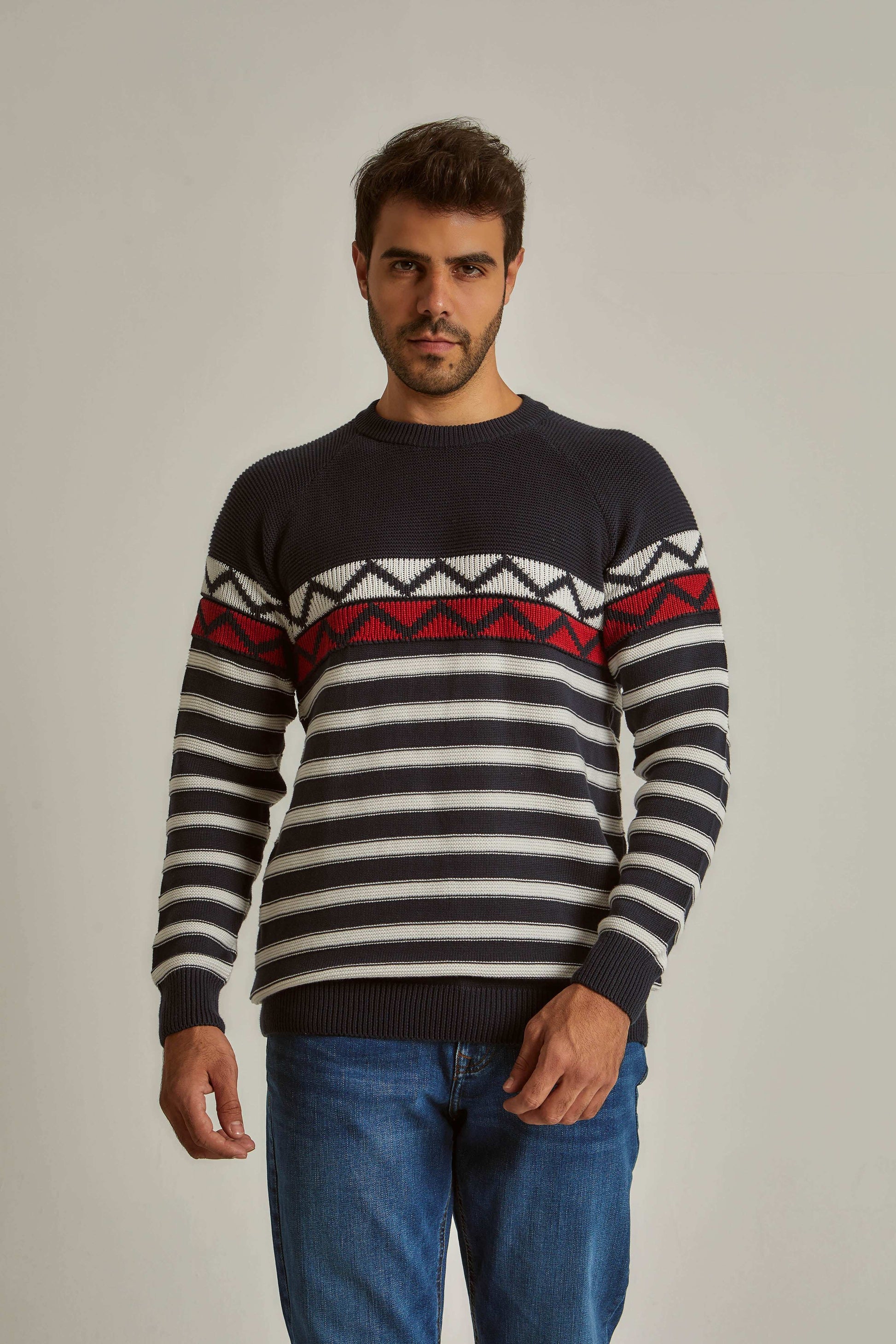 Men Regular Fit Pullover - Navy