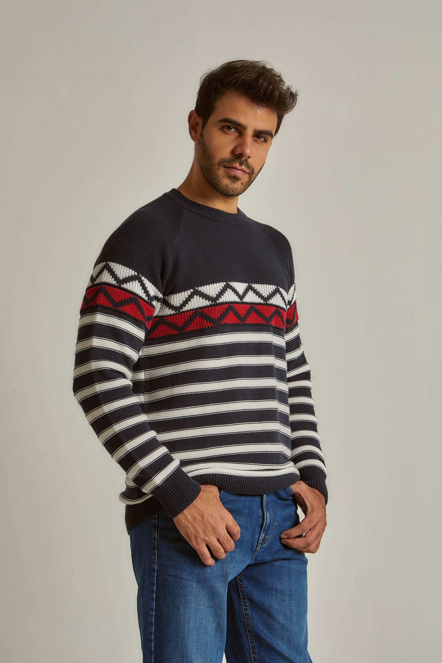 Men Regular Fit Pullover - Navy