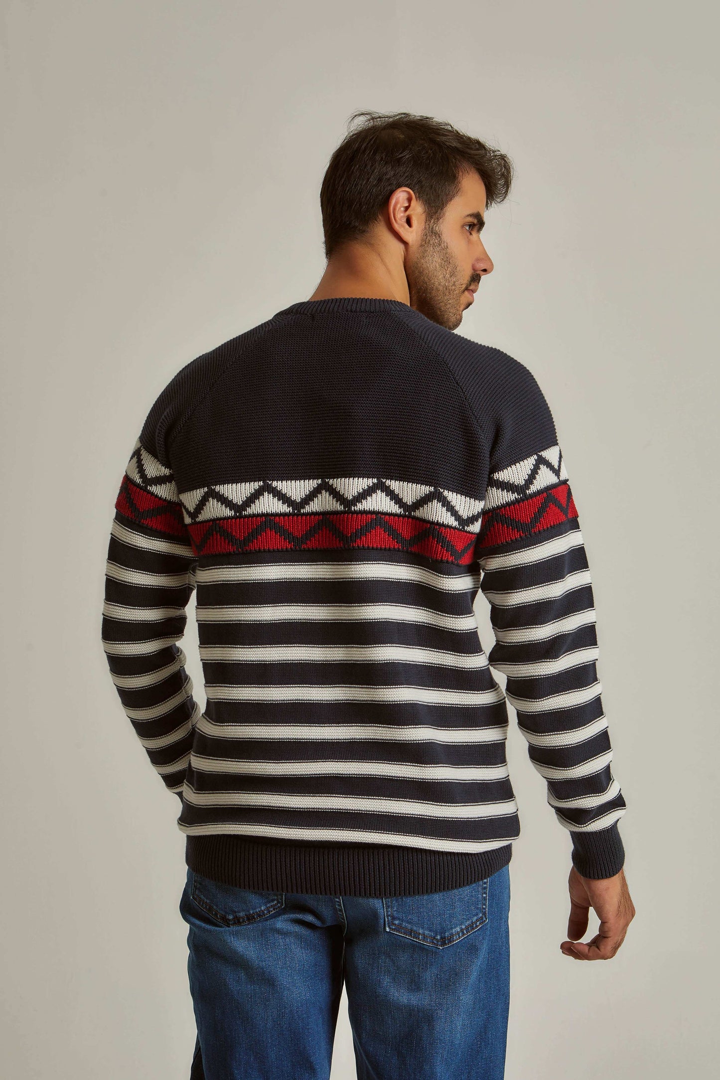 Men Regular Fit Pullover - Navy