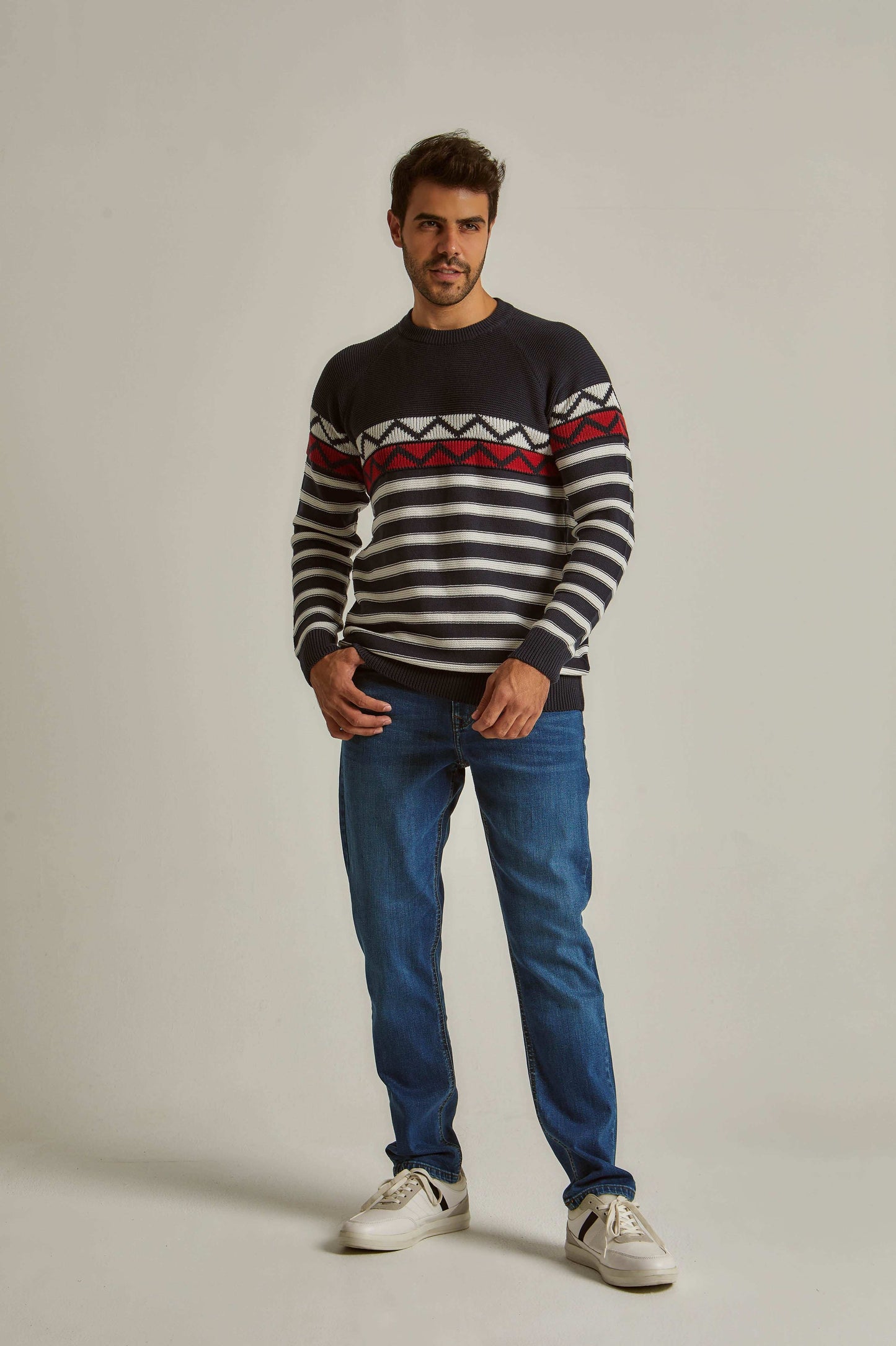 Men Regular Fit Pullover - Navy