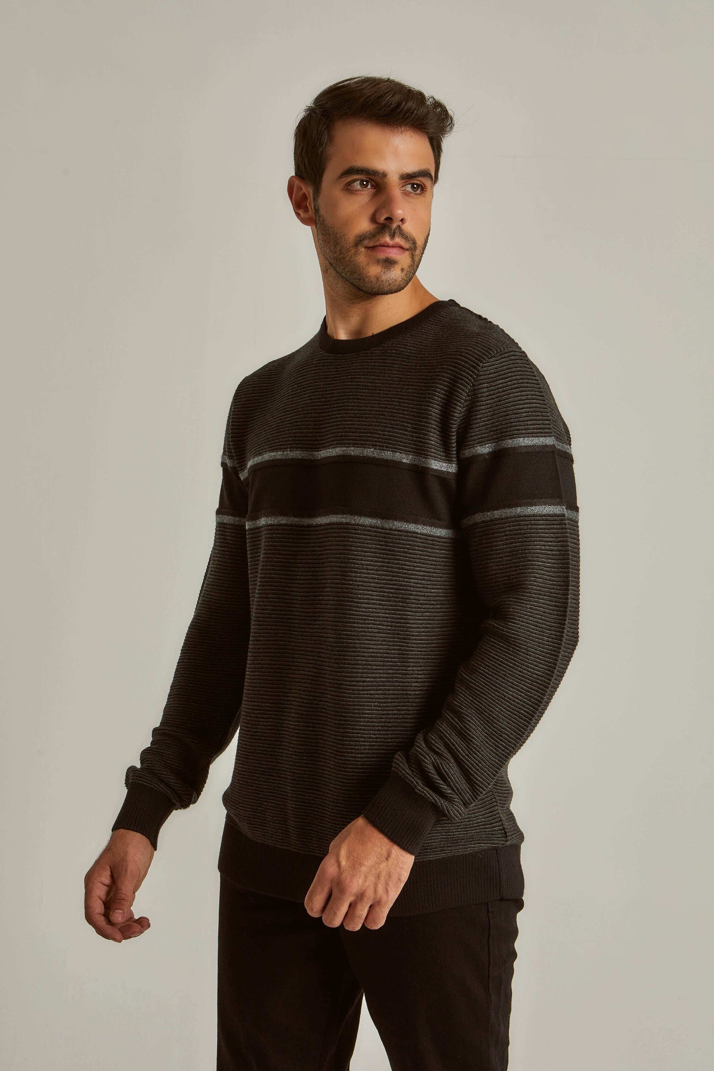 Men Regular Fit Pullover - Black
