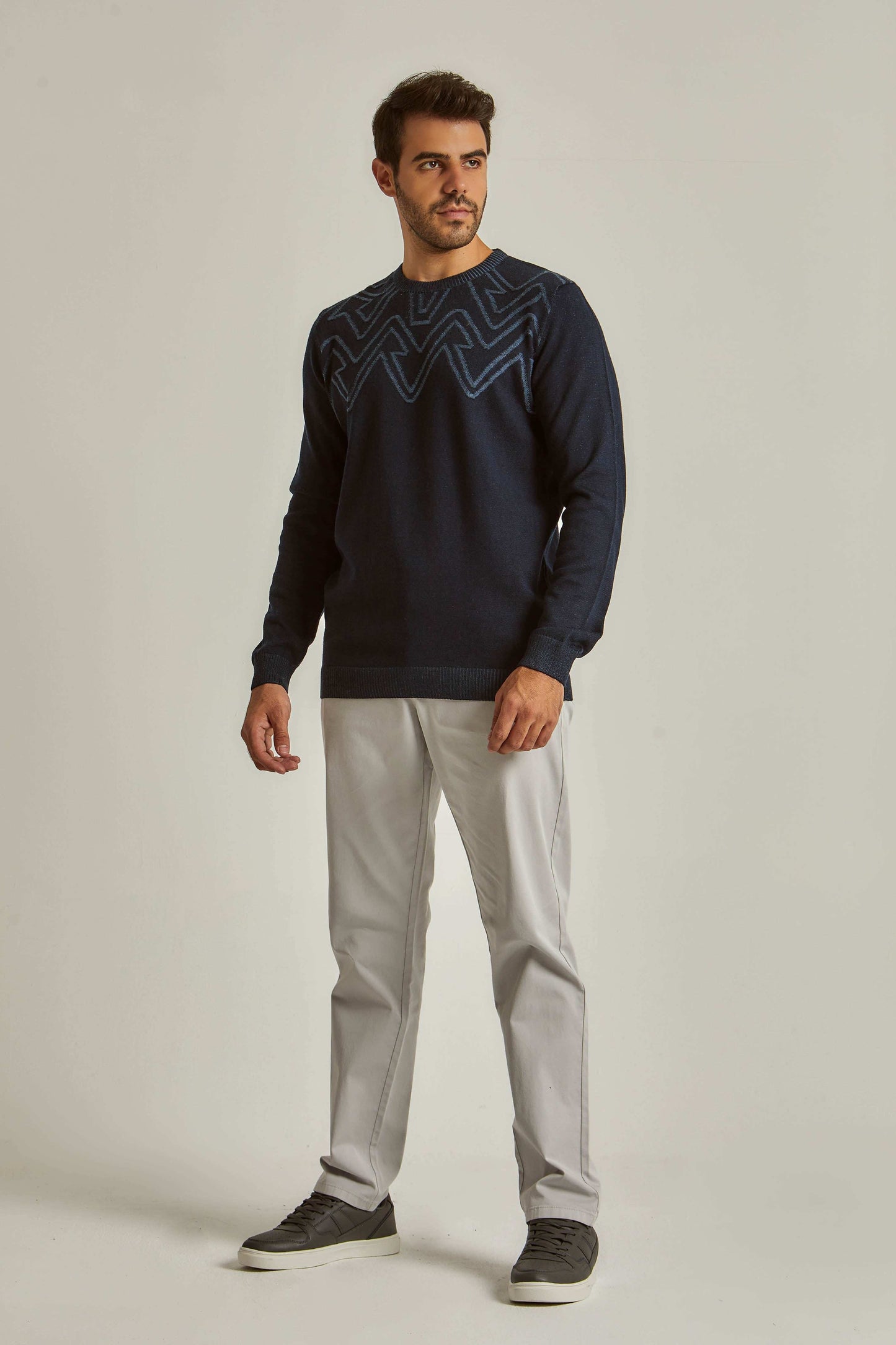 Men Regular Fit Pullover - Black