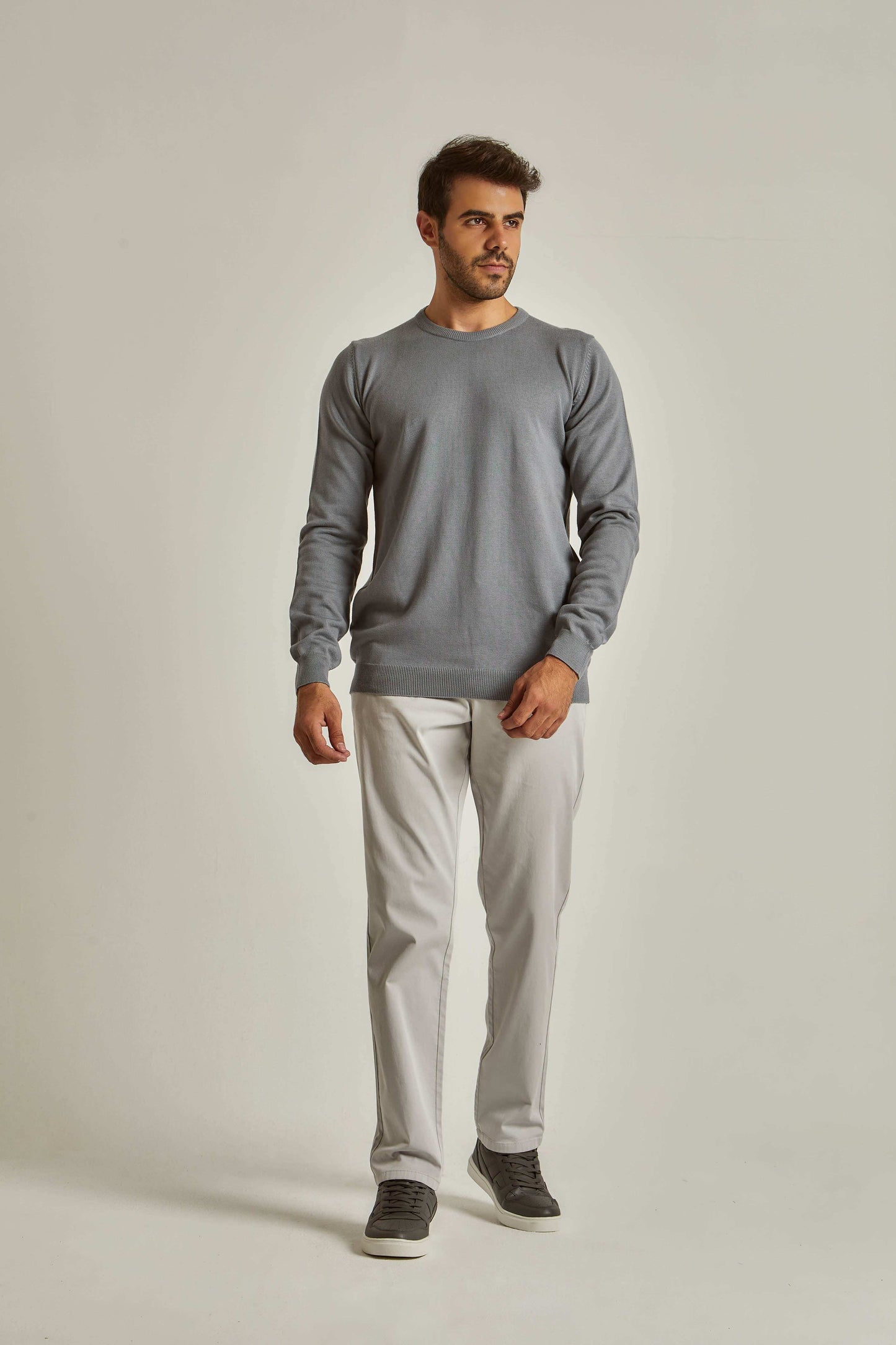 Men Regular Fit Pullover - Grey