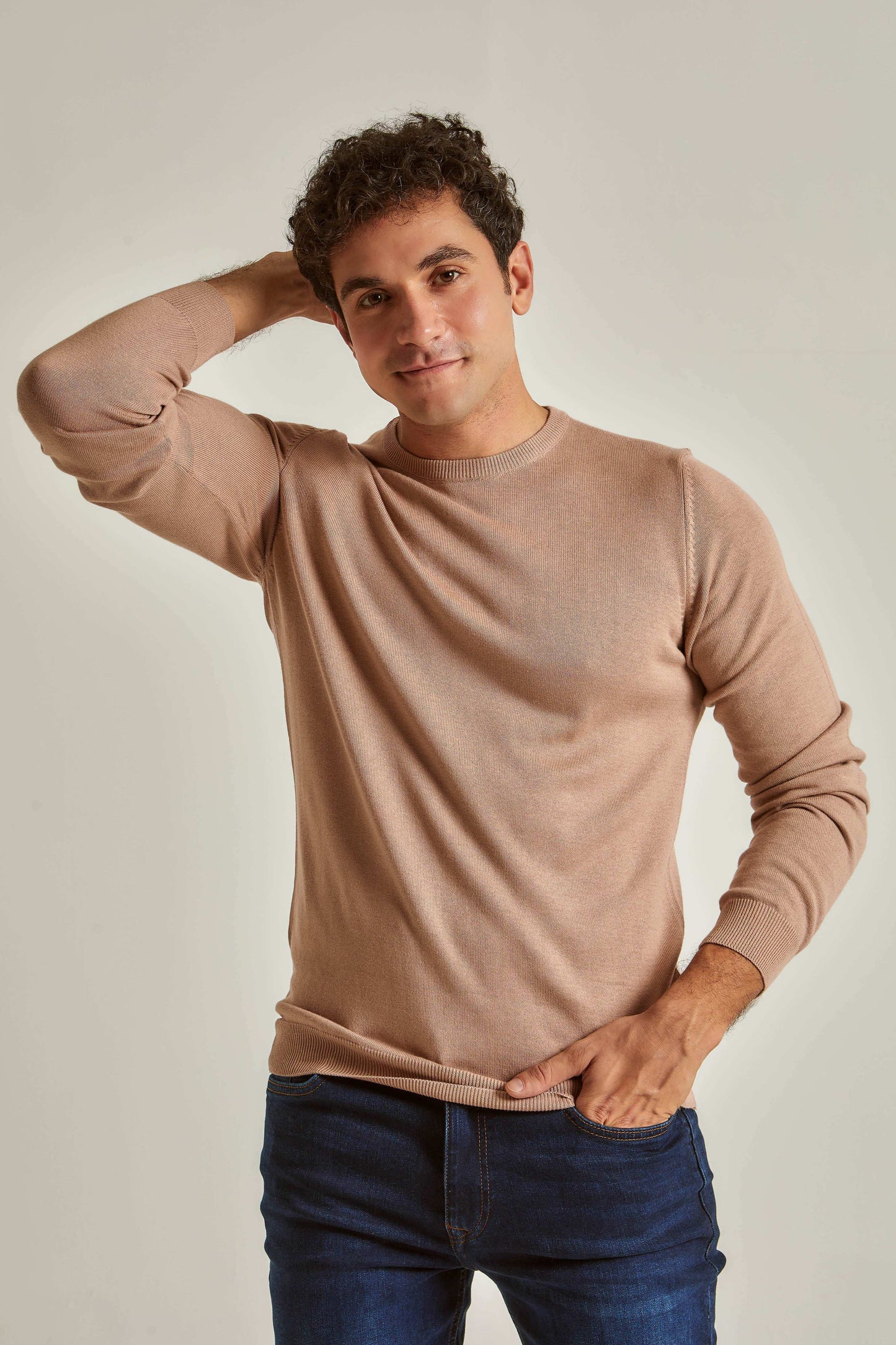 Men Regular Fit Pullover - Beige