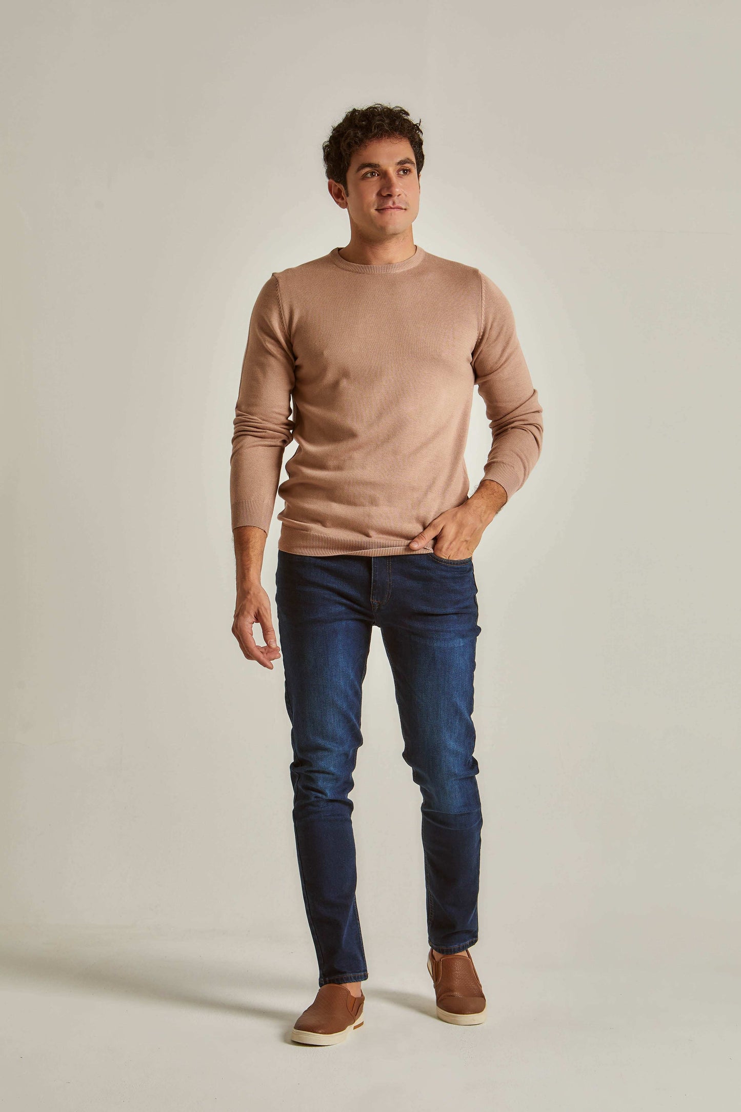 Men Regular Fit Pullover - Beige