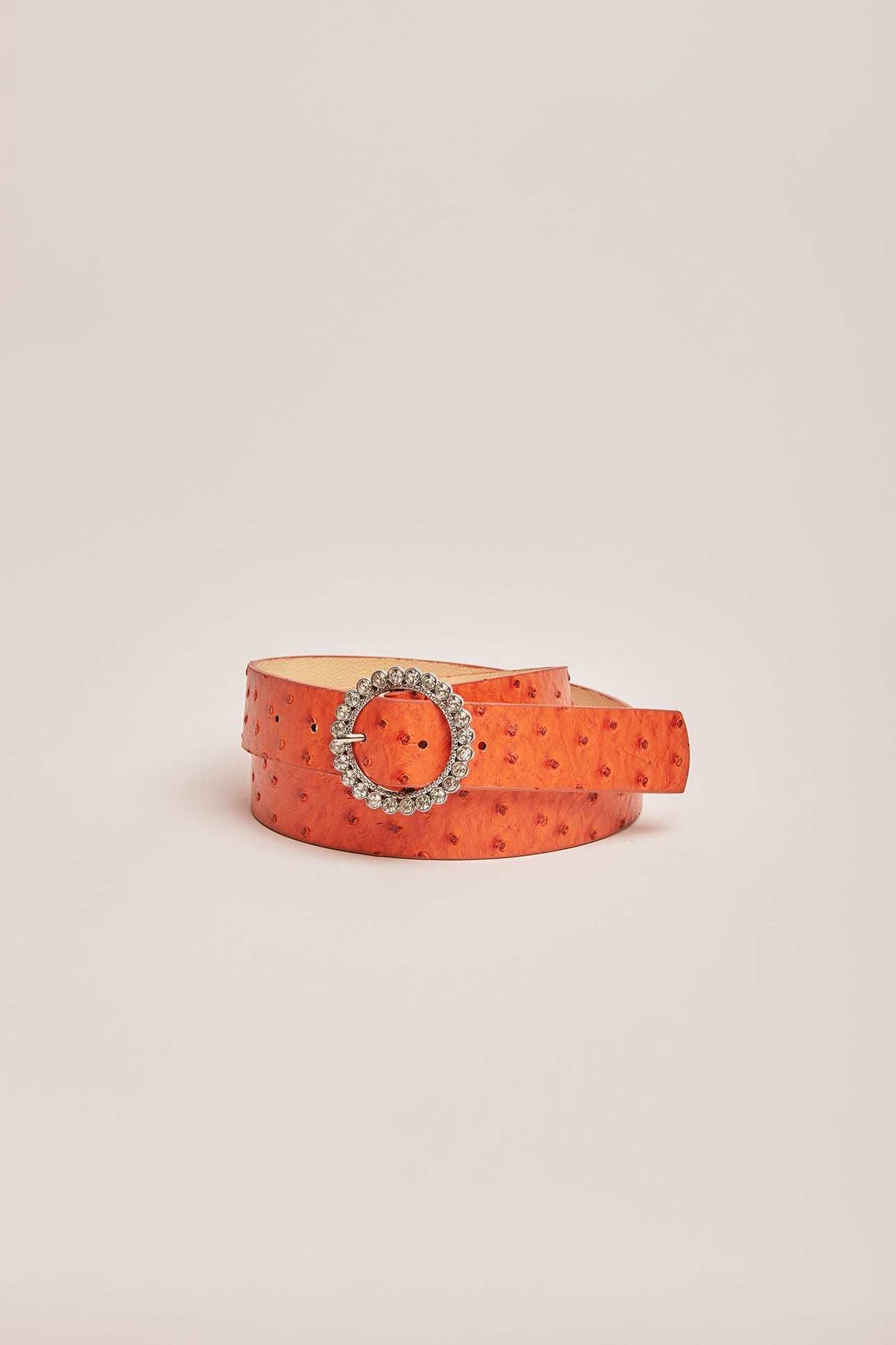 Women Belt - Burgundy