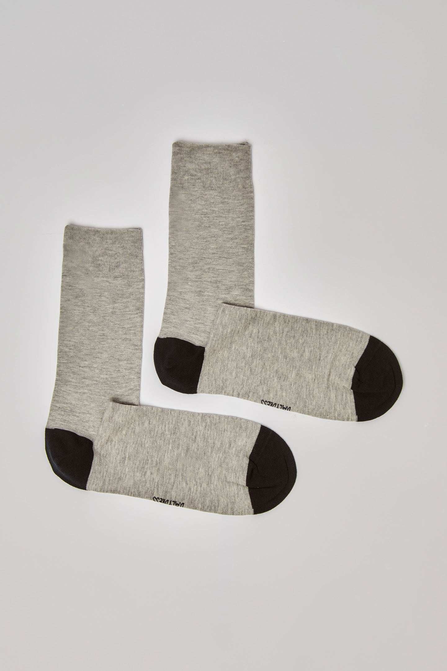 Men Regular Fit Socks - Multicolorcolor