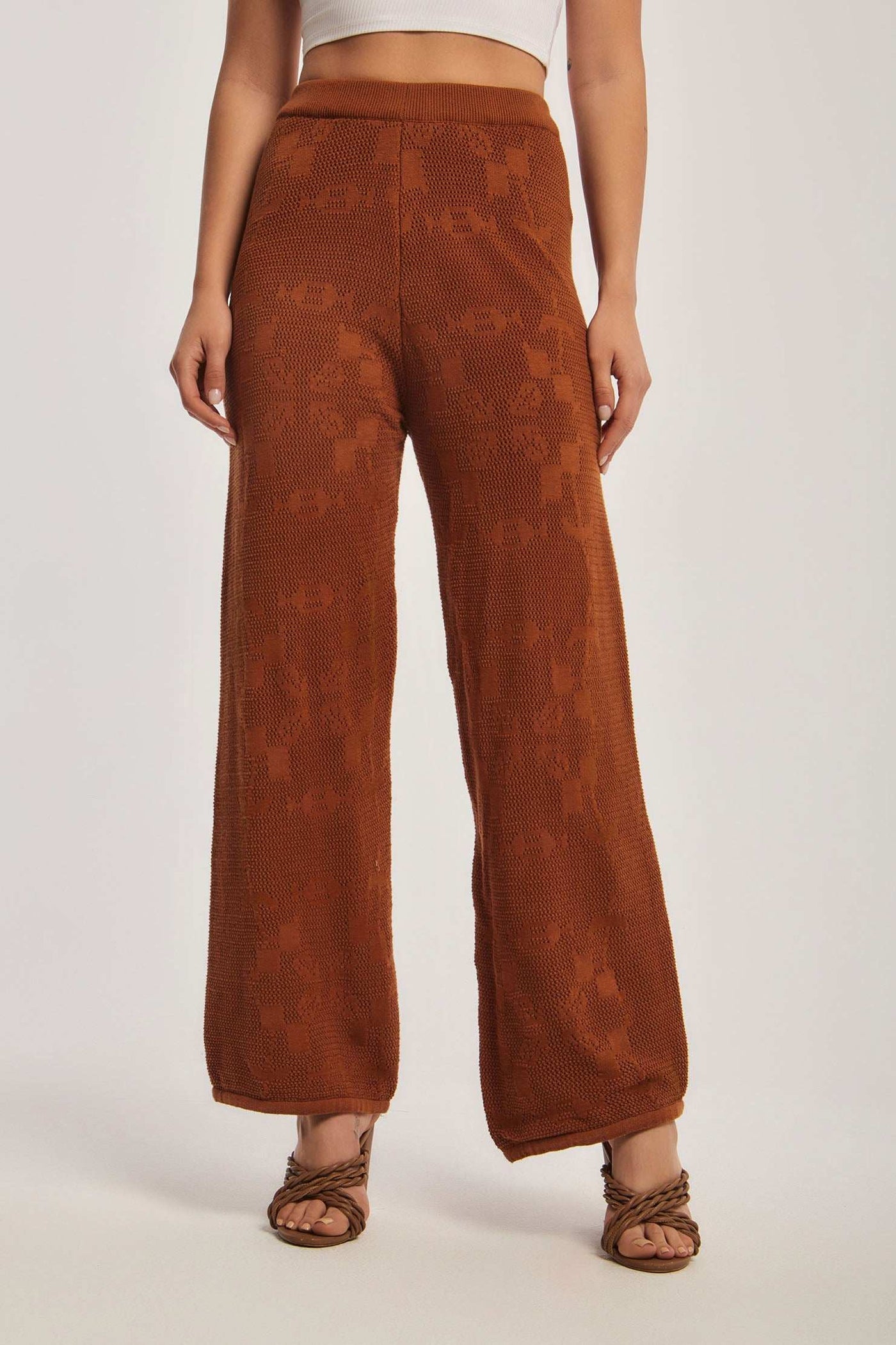 Women Regular Fit Pant - Brown