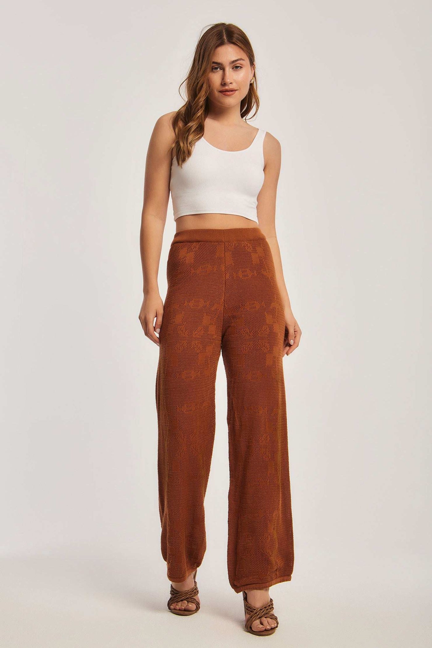 Women Regular Fit Pant - Brown