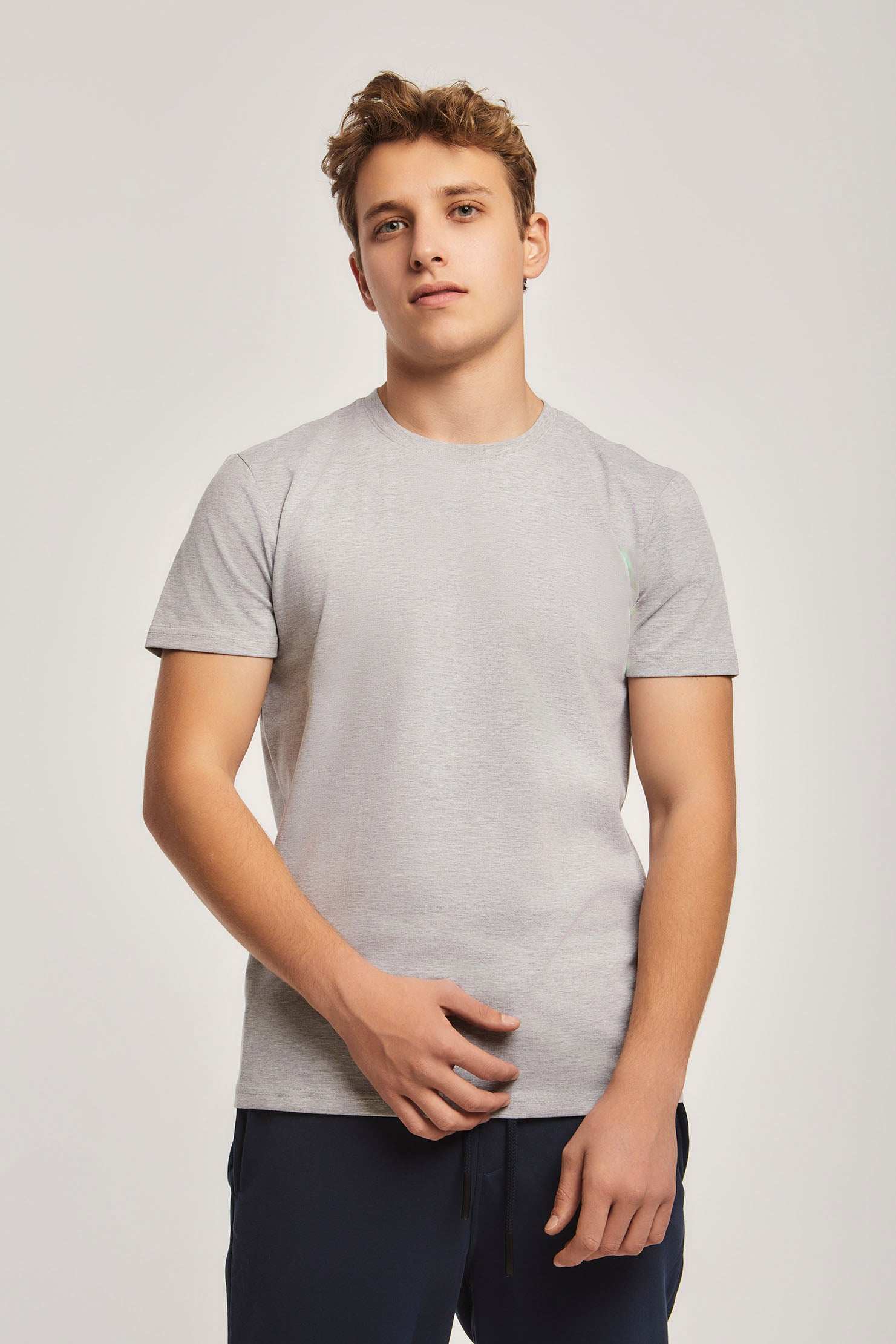 Men Regular Fit T-shirt - Grey