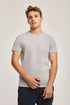 Men Regular Fit T-shirt - Grey
