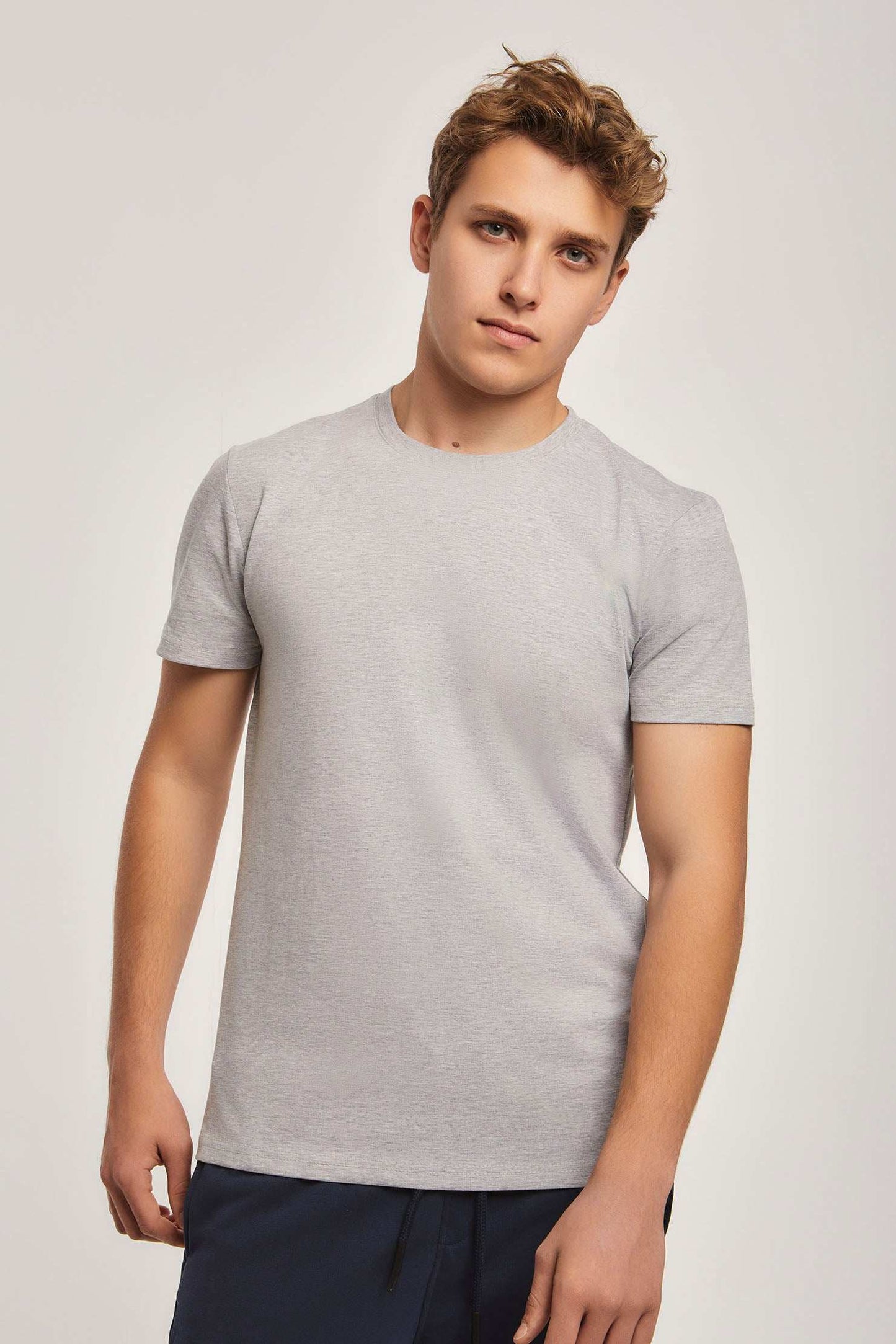 Men Regular Fit T-shirt - Grey