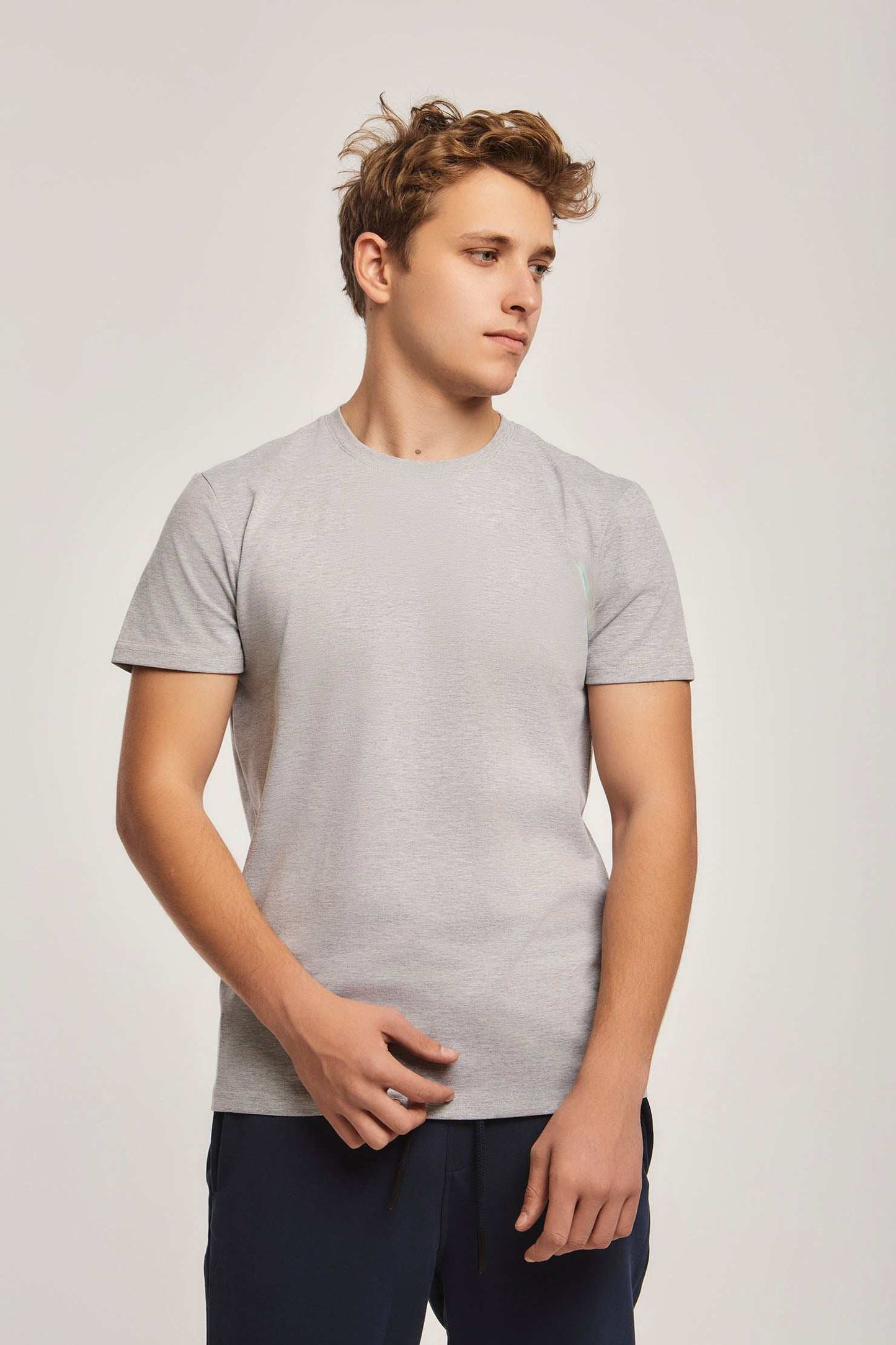 Men Regular Fit T-shirt - Grey