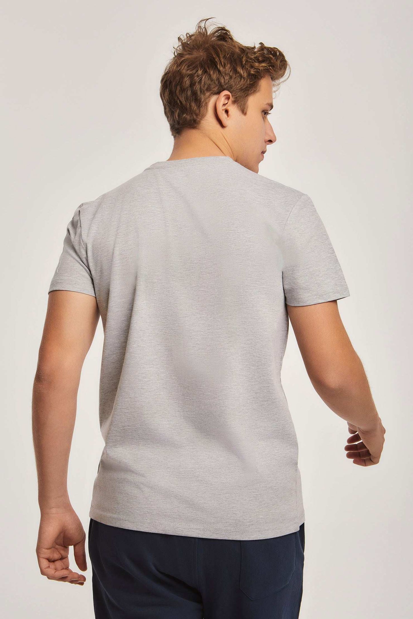 Men Regular Fit T-shirt - Grey
