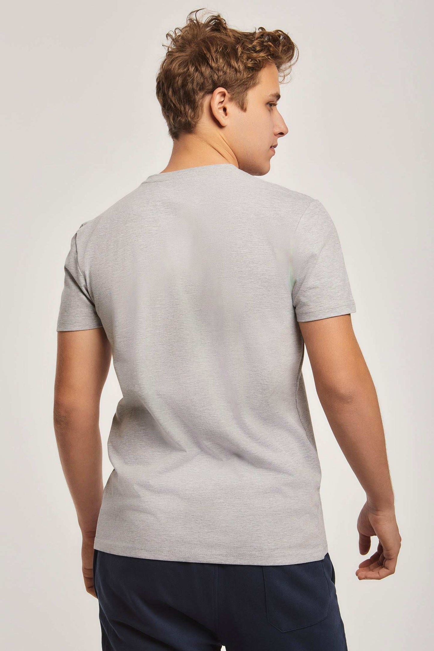 Men Regular Fit T-shirt - Grey