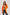 Women Regular Fit Cardigan - Celosia Orange
