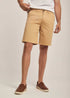 Men Regular Fit Shorts - Brown