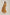 Women Regular Fit Dress - Multicolorcolor