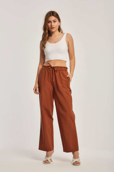 Women Regular Fit Pant - Brown