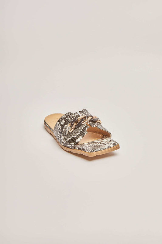 Women Shoes - Snake Snake Print