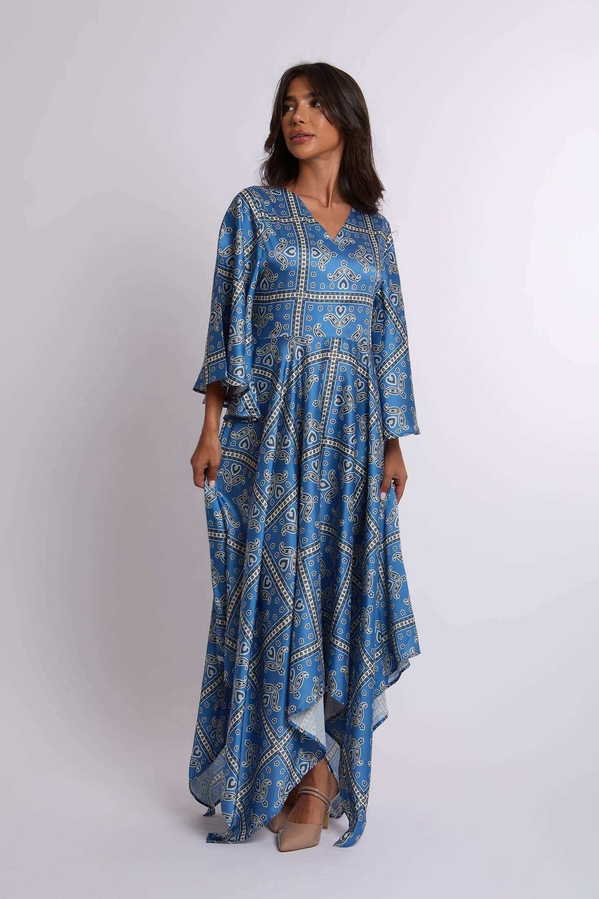 Women Regular Fit Dress - Printed Blue