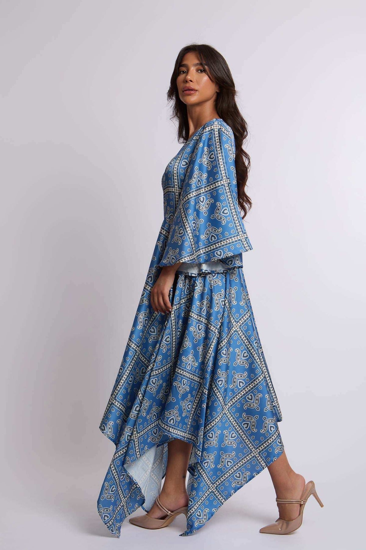 Women Regular Fit Dress - Printed Blue