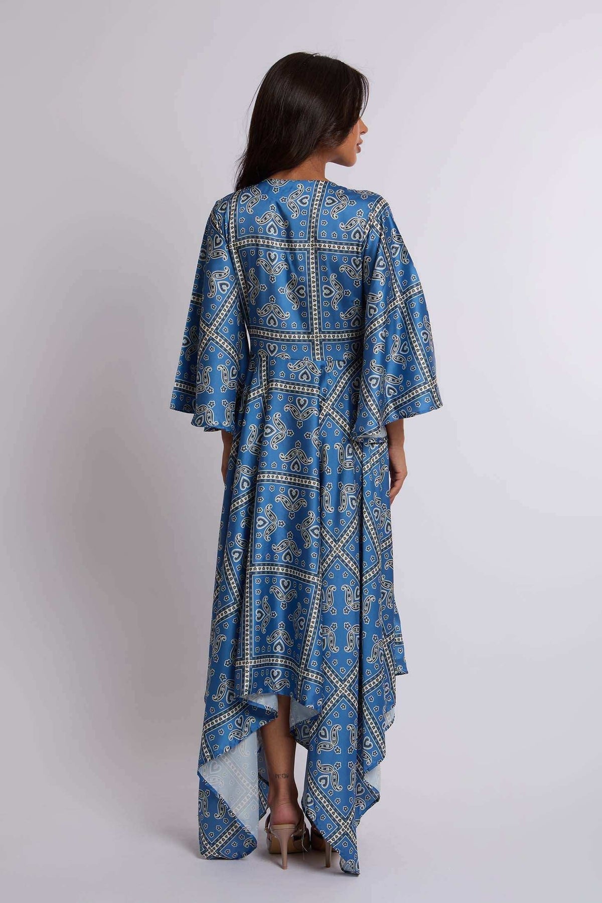 Women Regular Fit Dress - Printed Blue