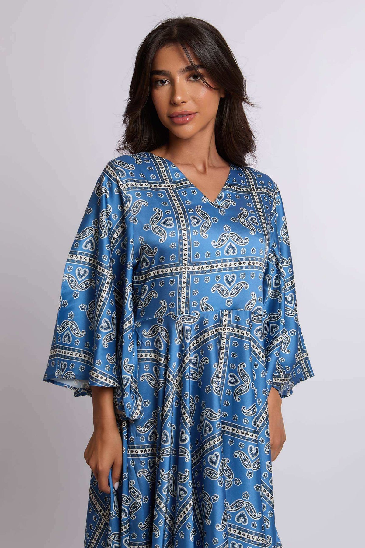 Women Regular Fit Dress - Printed Blue
