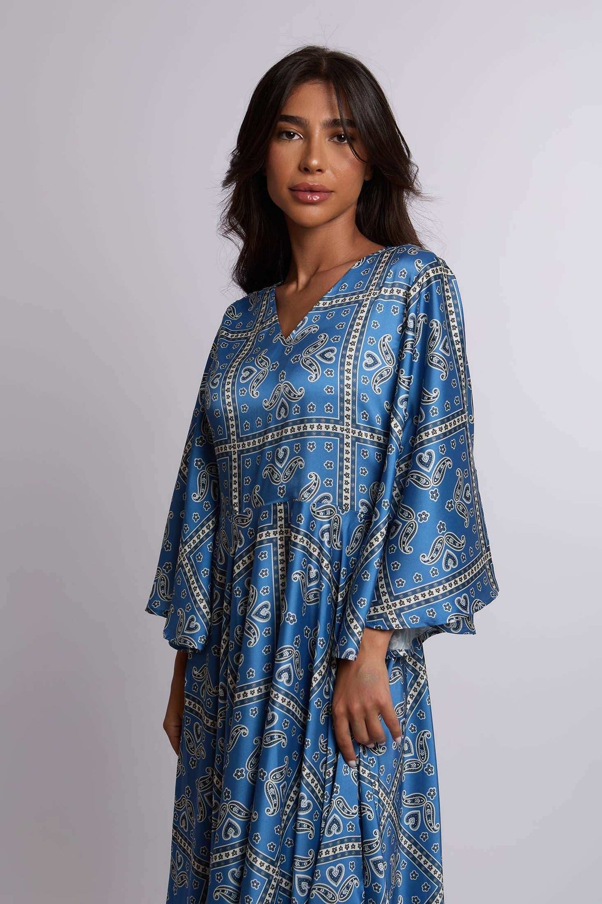 Women Regular Fit Dress - Printed Blue