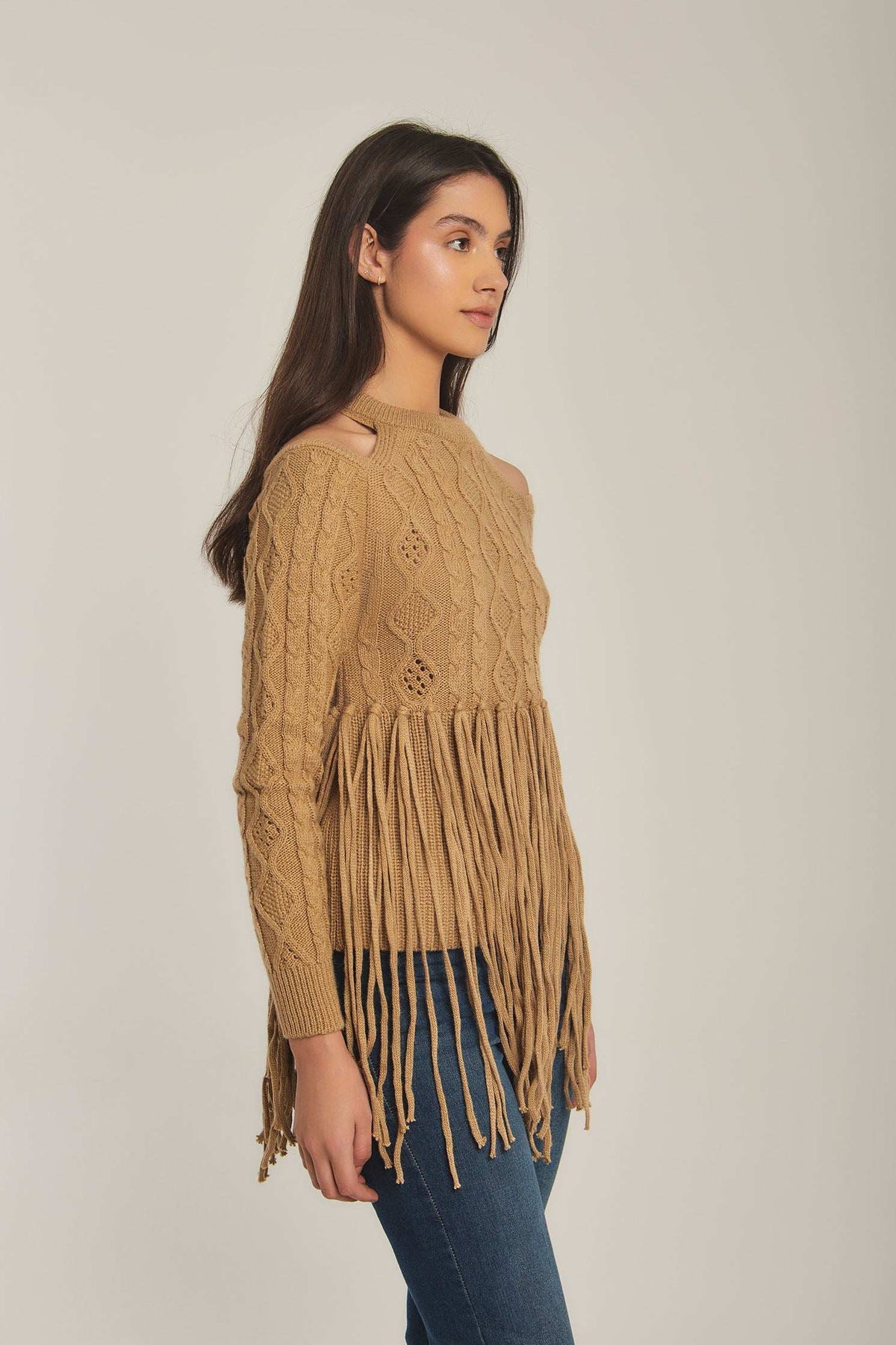 Women Regular Fit Pullover - Brown