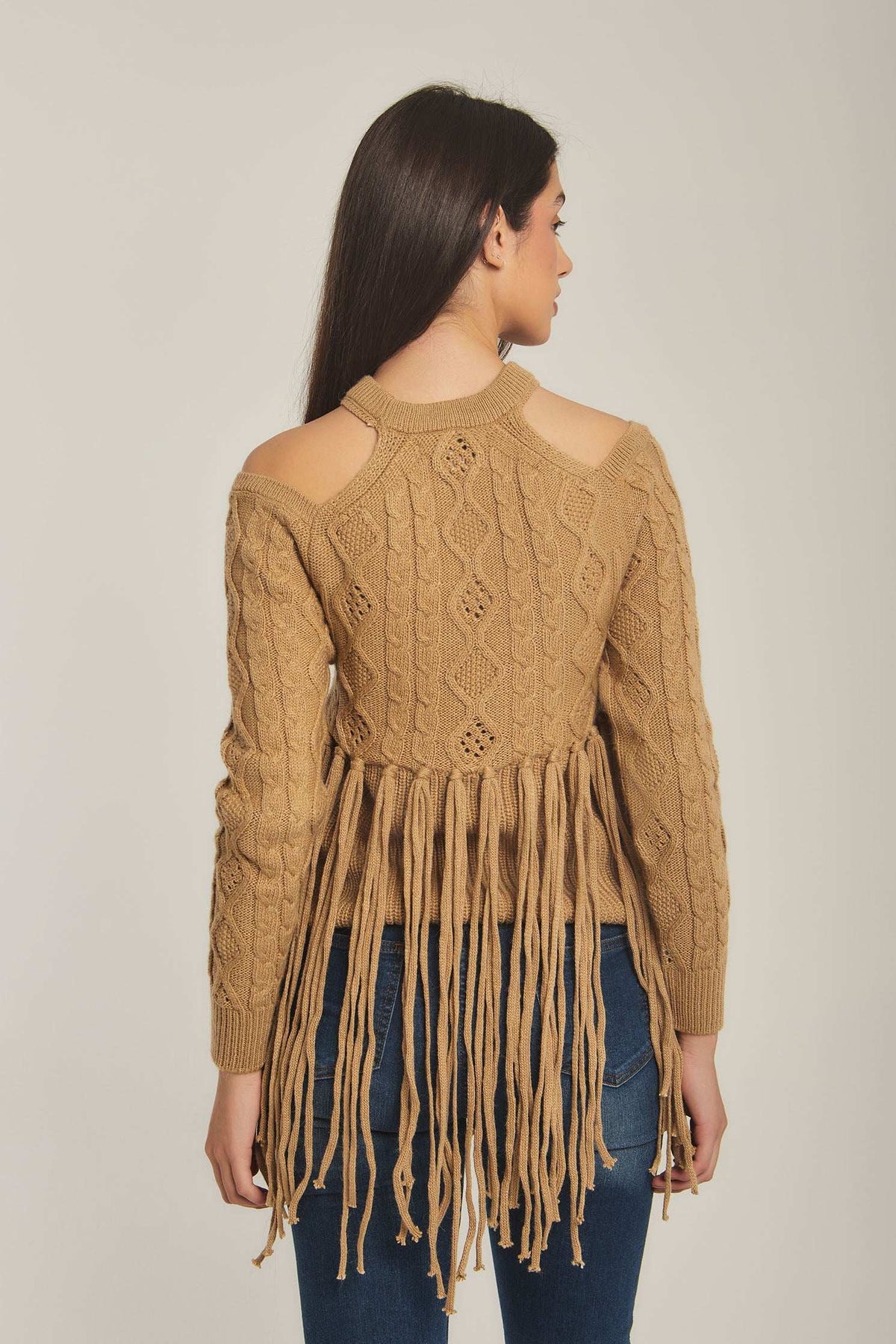 Women Regular Fit Pullover - Brown