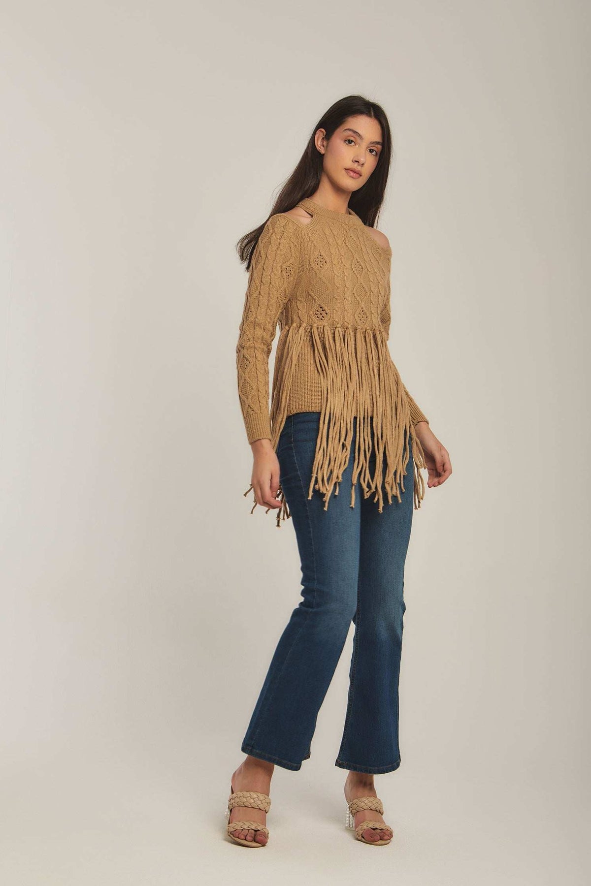 Women Regular Fit Pullover - Brown