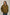 Women Regular Fit Jacket - Green