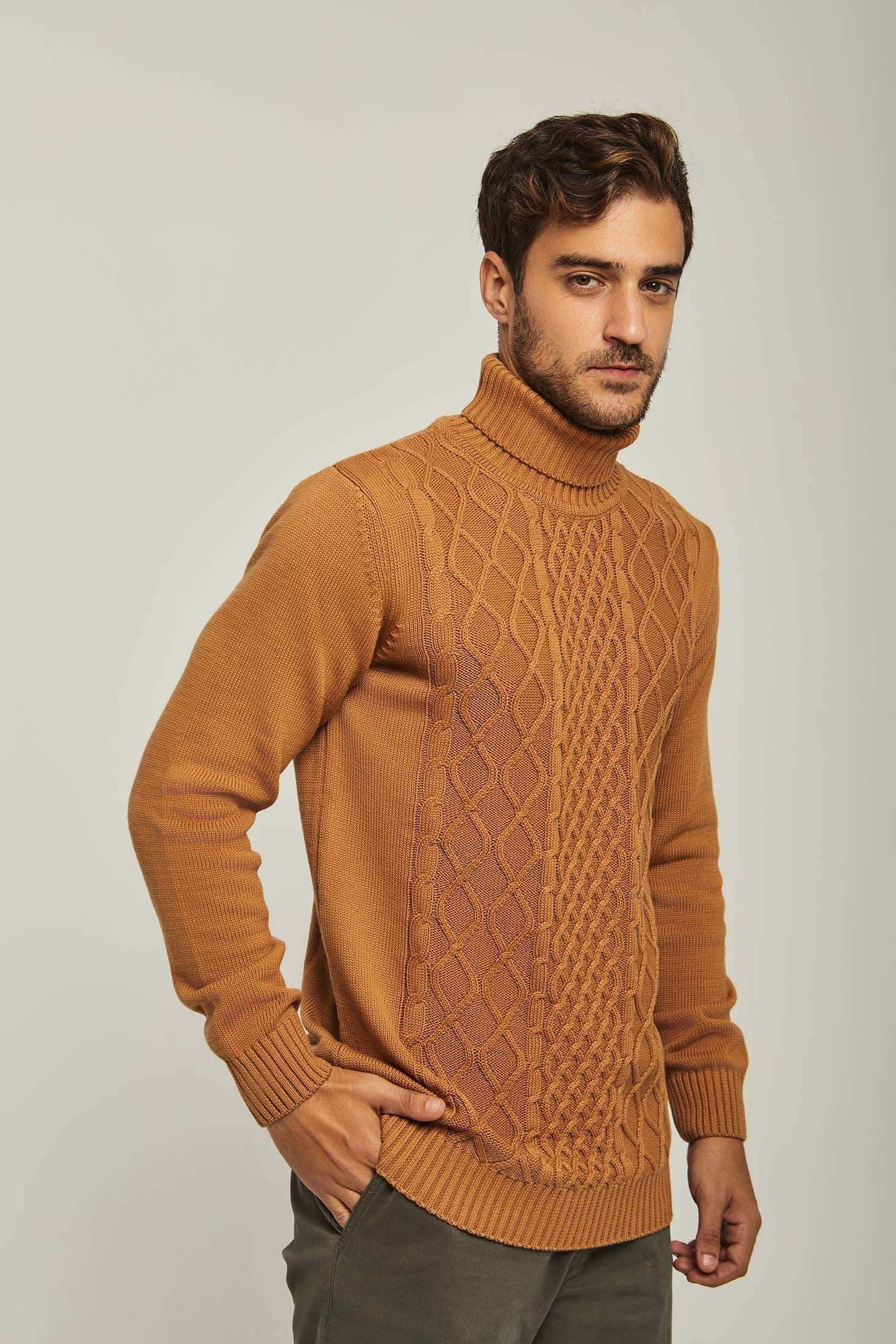Men Regular Fit Pullover - Brown