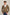 Men Regular Fit Sweat Jacket - Green