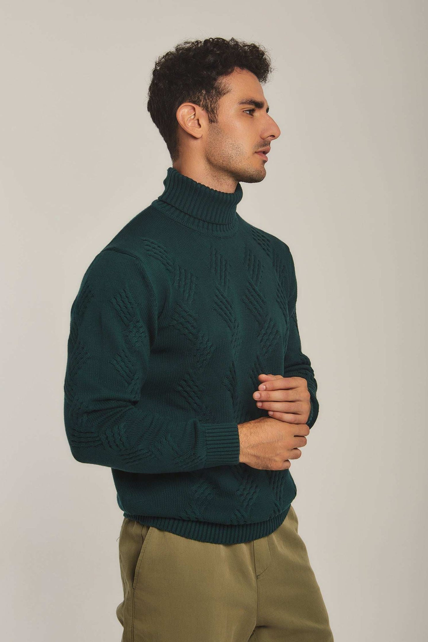 Men Regular Fit Pullover - Green