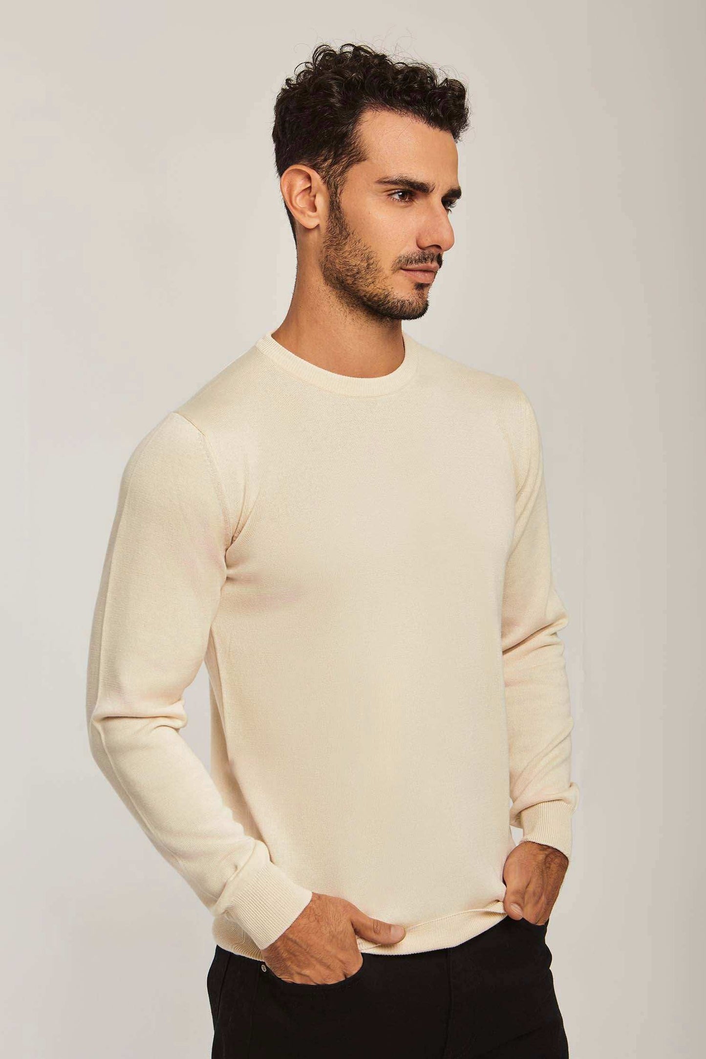 Men Regular Fit Pullover - Beige