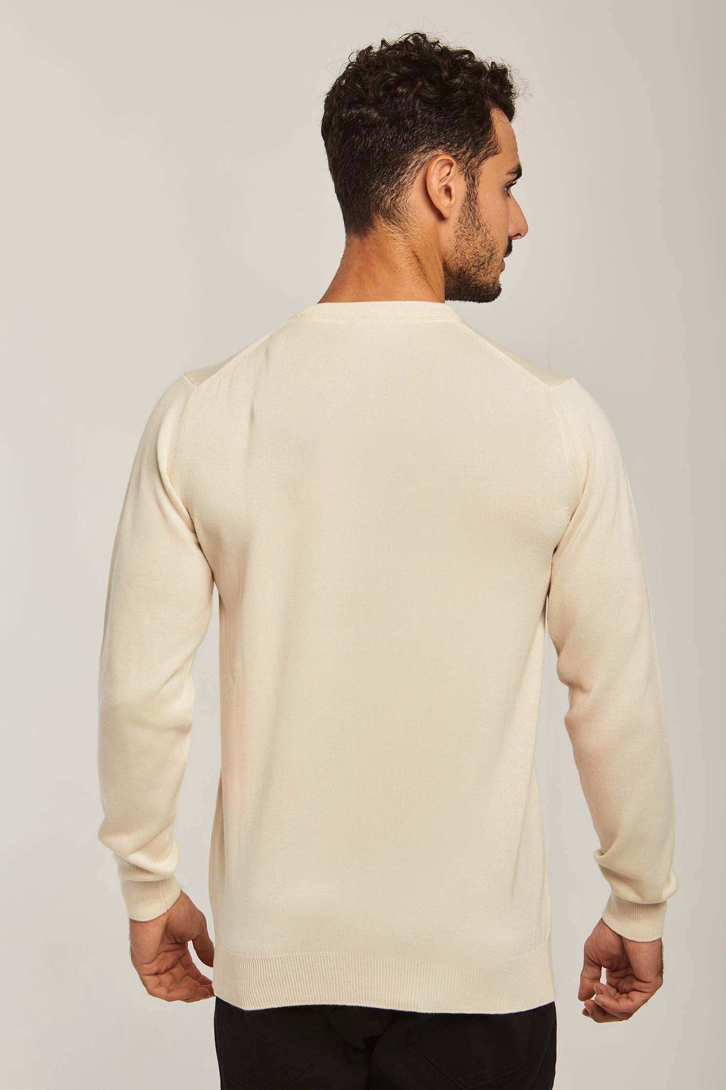 Men Regular Fit Pullover - Beige