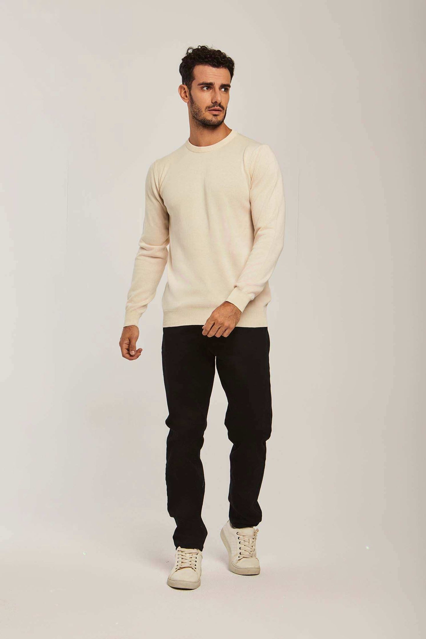 Men Regular Fit Pullover - Beige