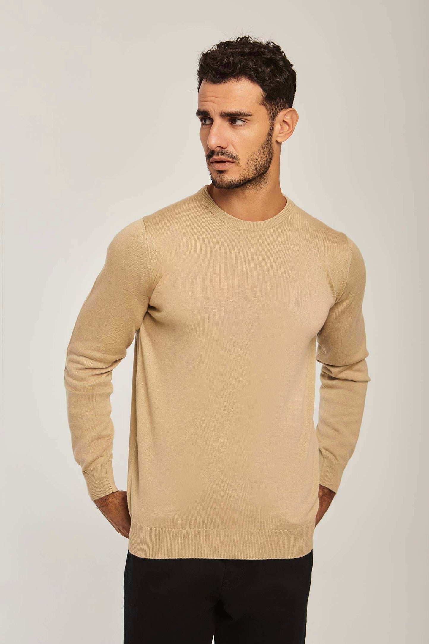 Men Regular Fit Pullover - Brown