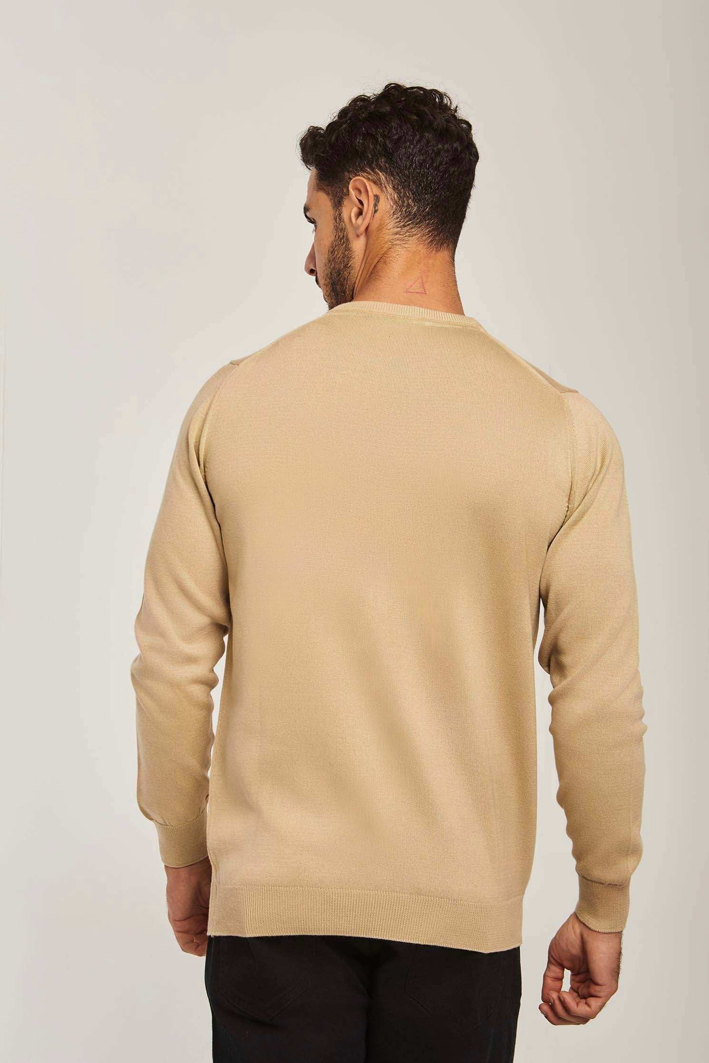 Men Regular Fit Pullover - Brown