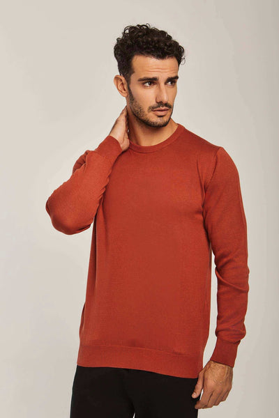 Men Regular Fit Pullover - Brick Red