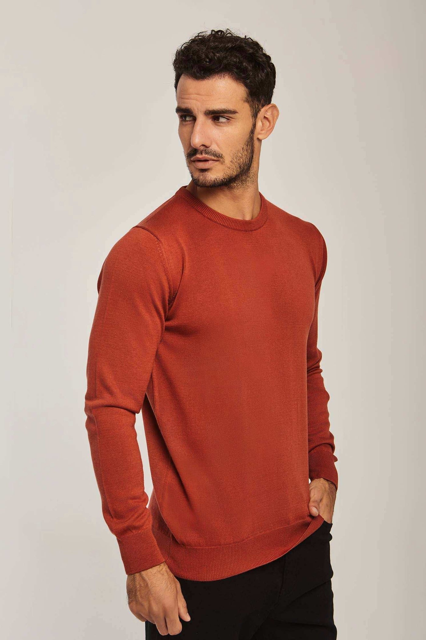 Men Regular Fit Pullover - Brick Red