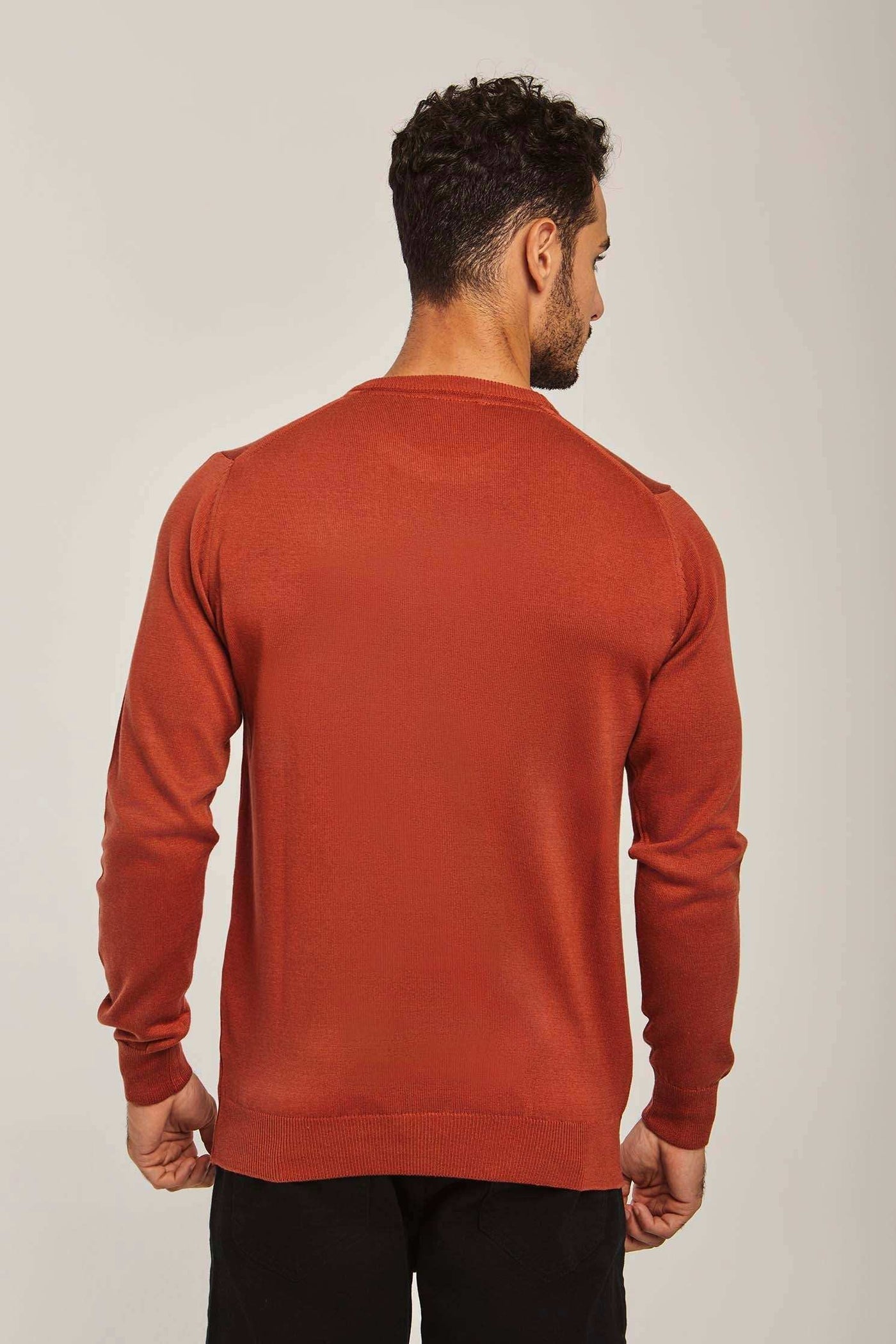 Men Regular Fit Pullover - Brick Red